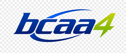 bcaa4